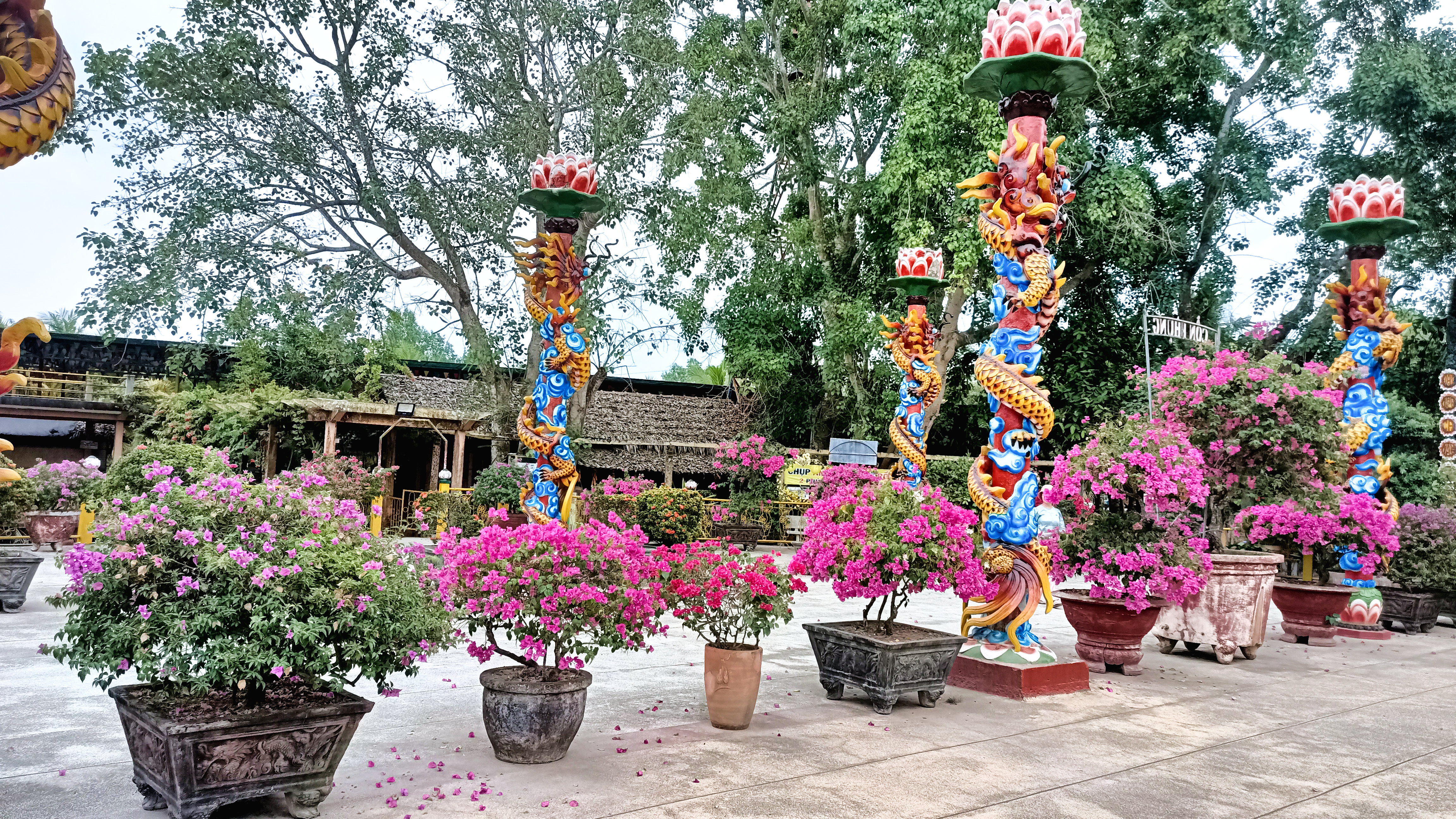 V0173-29-04-2026-105100-e861cb77-a154-4d19-b19b-c656295bca82.jpg